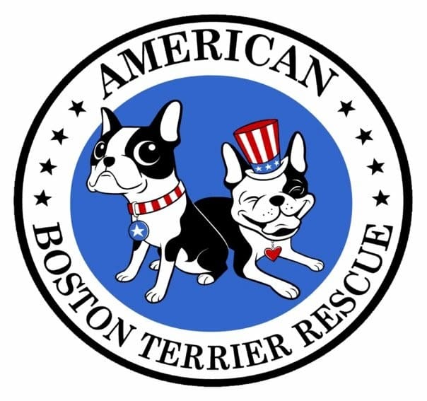 Boston Terrier Rescue logo