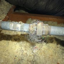 Gas Leak